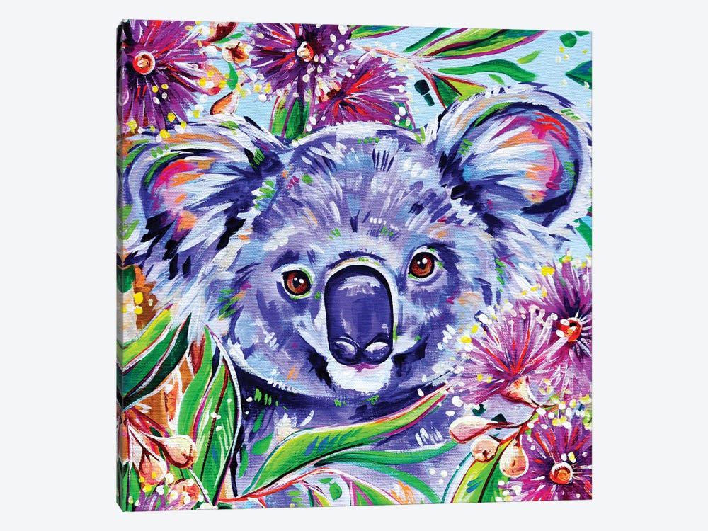 Koala Square by Eve Izzett 1-piece Art Print