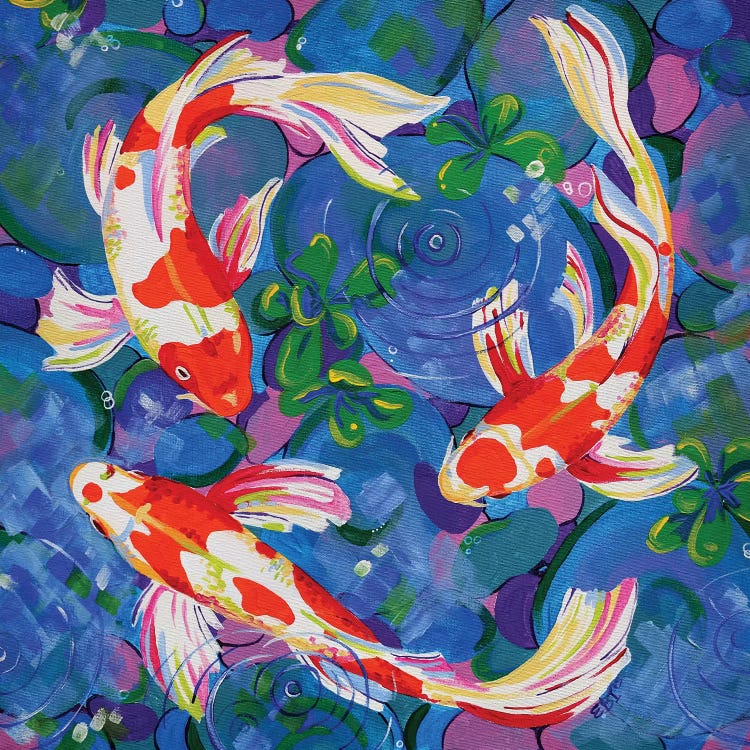 Koi