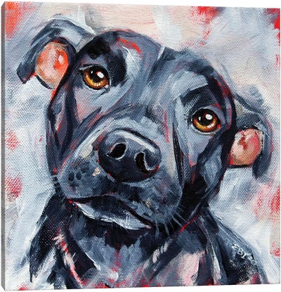 Sam Canvas Art Print - Staffordshire Bull Terrier Art