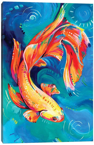 Siamese Fighting Fish Canvas Art Print - Eve Izzett