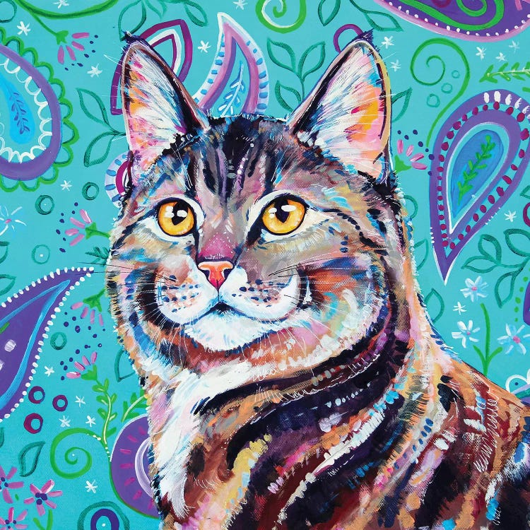 Tabby On Paisley