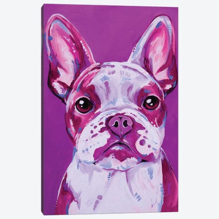 Frenchy In Pink Canvas Print #EIZ64} by Eve Izzett Canvas Wall Art
