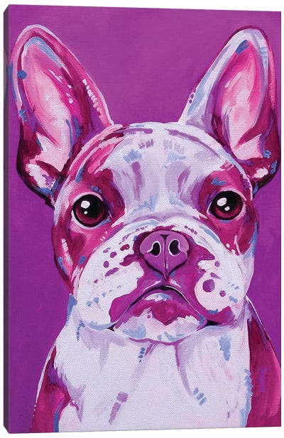 Frenchy In Pink Canvas Art Print - Eve Izzett