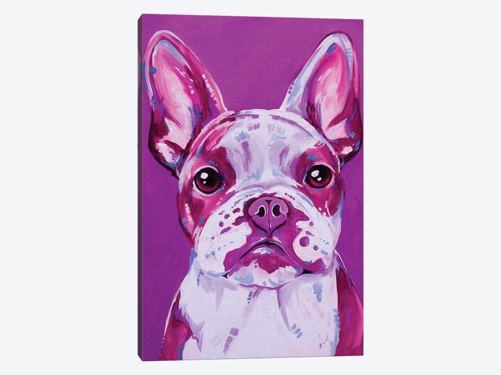 Frenchy In Pink by Eve Izzett 1-piece Canvas Wall Art