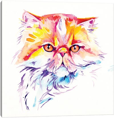 Persian Canvas Art Print - Persian Cats
