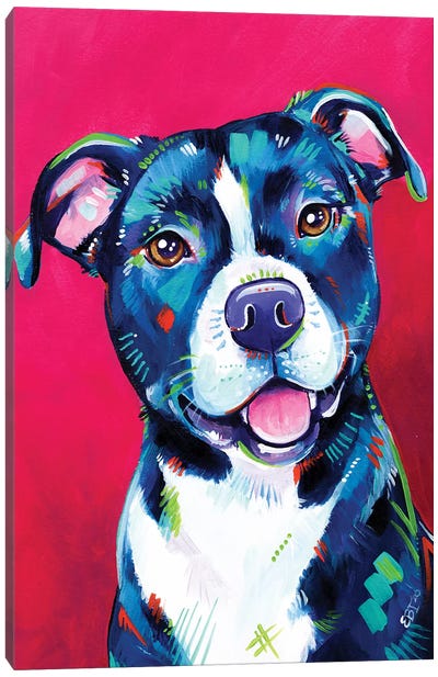 Milly - Portrait Of A Staffy Canvas Art Print