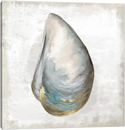 Cozza II Canvas Art Print - Sea Shell Art