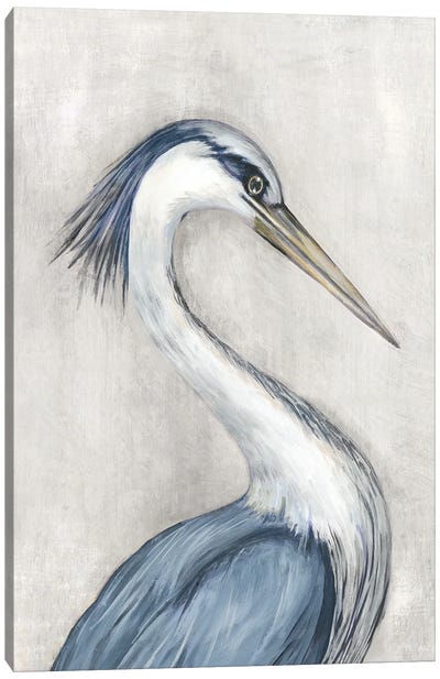 Heron Vintage Canvas Art Print - Heron Art