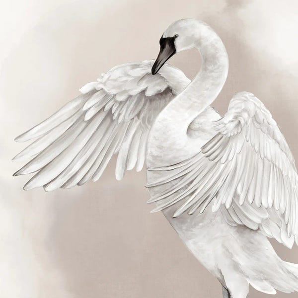Eli Jones: Graceful Swan I by Eli Jones