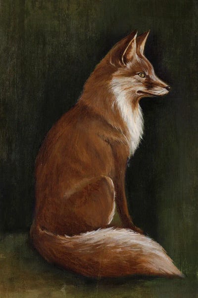 Eli Jones - Framed Fine Art Prints: Fox II by Eli Jones