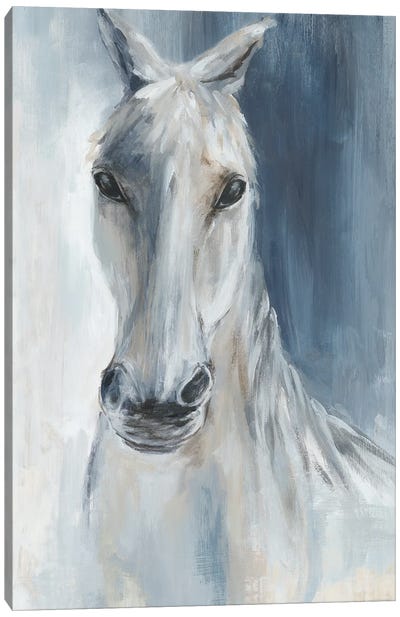 Blue Horse Canvas Art Print