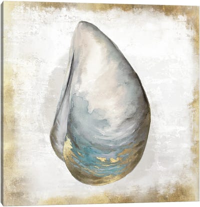 Cozza I Canvas Art Print - Sea Shell Art