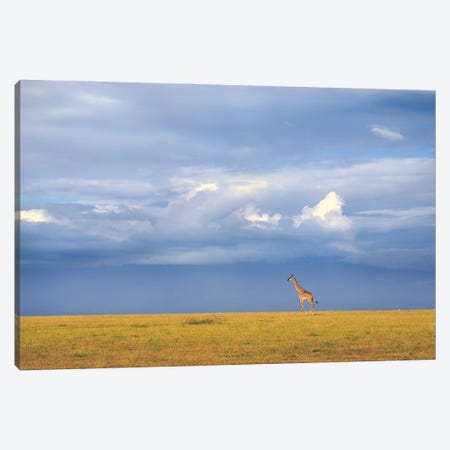 Colors Of Freedom Canvas Print #EJT10} by Eiji Itoyama Canvas Art