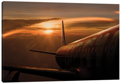 Out Of The Flight Canvas Art Print