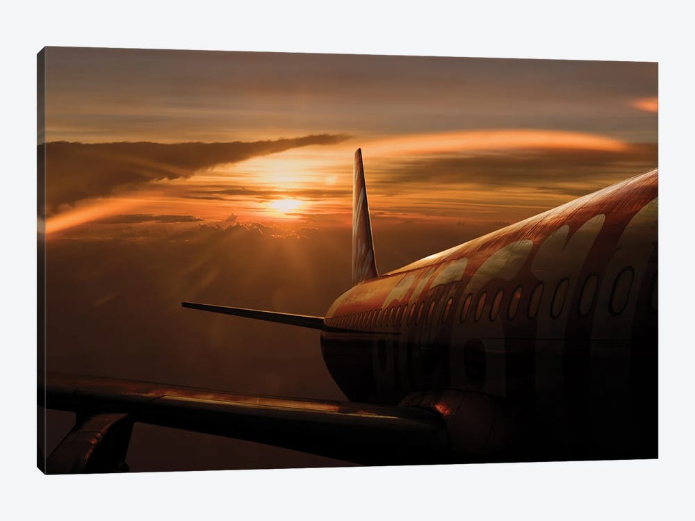Out Of The Flight 1-piece Canvas Wall Art