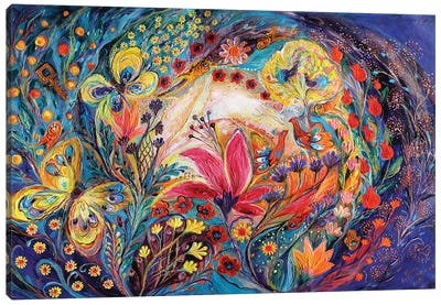 The Spiral Of Life Canvas Art Print - Butterfly Art