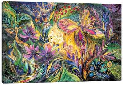 The Life Of Butterfly III Canvas Art Print - Elena Kotliarker