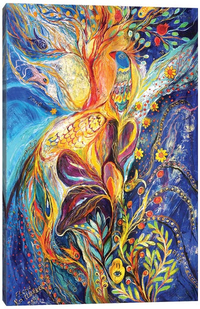 The King Bird III Canvas Art Print - Judaism Art