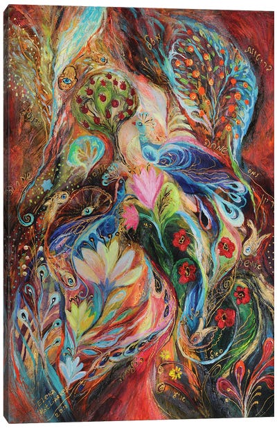 The Magic Garden III Canvas Art Print - Peacock Art