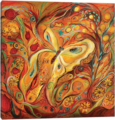 The Butterfly And Pomegranates Canvas Art Print - Elena Kotliarker
