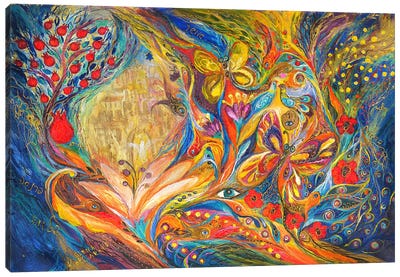 The Spirit Of Jerusalem Canvas Art Print - Elena Kotliarker