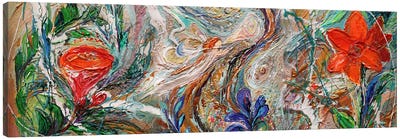 The Splash Of Life 43. The Flowers Mixt II Canvas Art Print - Elena Kotliarker