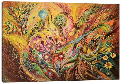 The Life Of Butterfly II Canvas Art Print - Judaism Art