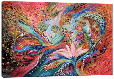 The Wind Rose Canvas Art Print - Elena Kotliarker