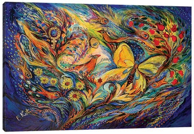 The Life Of Butterfly Canvas Art Print - Judaism Art