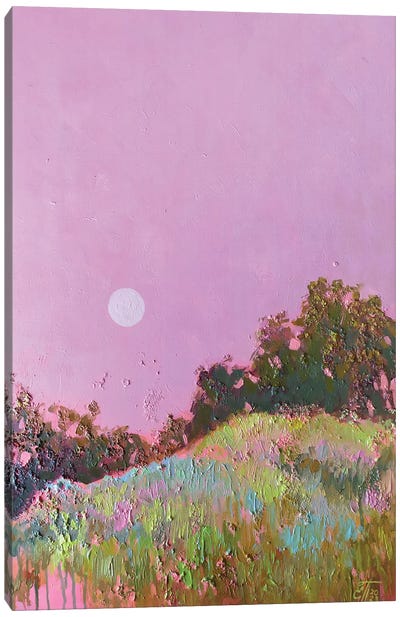 Pink Landscape Canvas Art Print - Moon Art