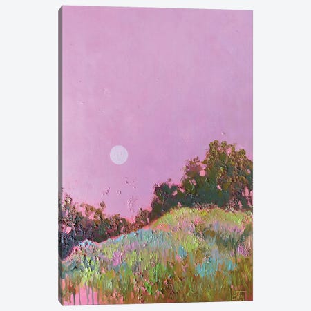 Pink Landscape Canvas Print #EKP120} by Ekaterina Prisich Art Print