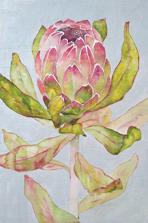 Protea