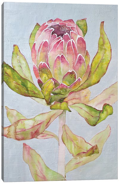Protea Canvas Art Print - Ekaterina Prisich