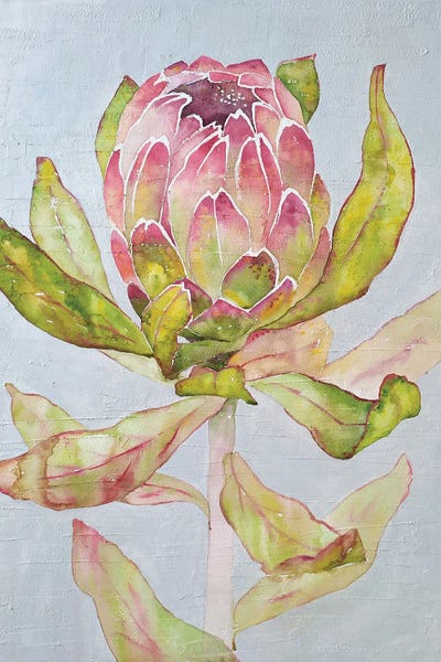 Protea: Protea by Ekaterina Prisich