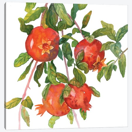 Pomegranate Branch Canvas Print #EKP22} by Ekaterina Prisich Canvas Wall Art