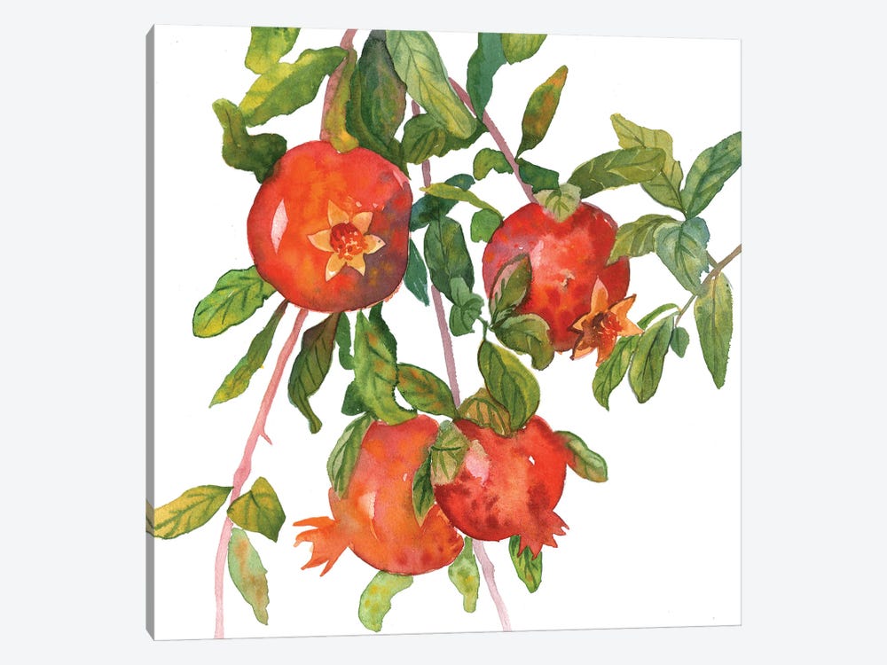 Pomegranate Branch by Ekaterina Prisich 1-piece Canvas Wall Art