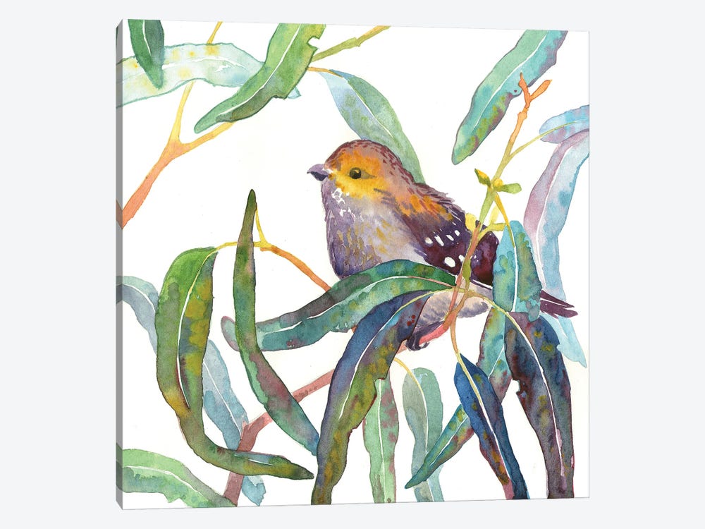 Forty-Spotted Pardalote In Eucalyptus Branch by Ekaterina Prisich 1-piece Canvas Art Print