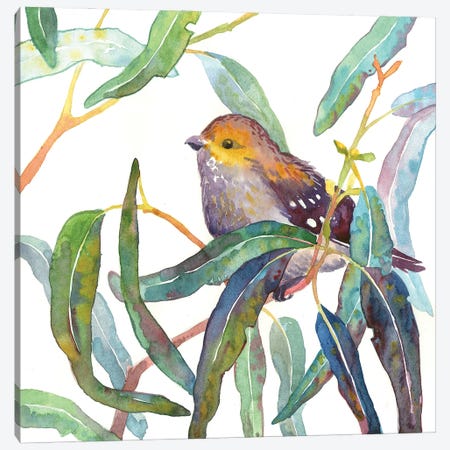 Forty-Spotted Pardalote In Eucalyptus Branch Canvas Print #EKP23} by Ekaterina Prisich Canvas Art