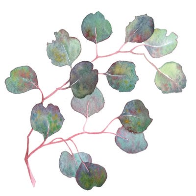 Eucalyptus Branch by Ekaterina Prisich art print