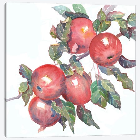 Apple Branch Canvas Print #EKP25} by Ekaterina Prisich Canvas Art Print