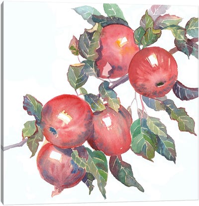 Apple Branch Canvas Art Print - Ekaterina Prisich