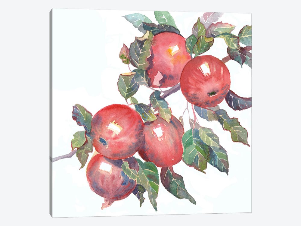 Apple Branch by Ekaterina Prisich 1-piece Canvas Print