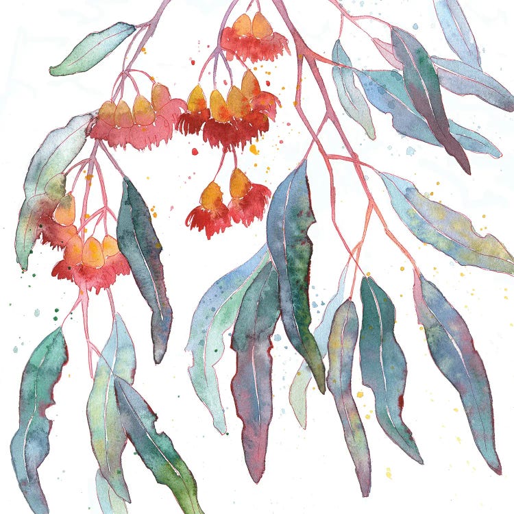 Blooming Eucalyptus Canvas Art Print by Ekaterina Prisich | iCanvas
