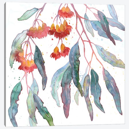 Blooming Eucalyptus Canvas Print #EKP26} by Ekaterina Prisich Canvas Print