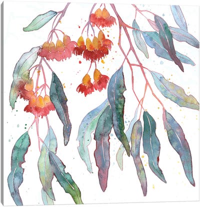 Blooming Eucalyptus Canvas Art Print - Eucalyptus Art