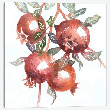 Pomegranates Canvas Print #EKP28} by Ekaterina Prisich Canvas Art