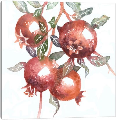 Pomegranates Canvas Art Print - Ekaterina Prisich