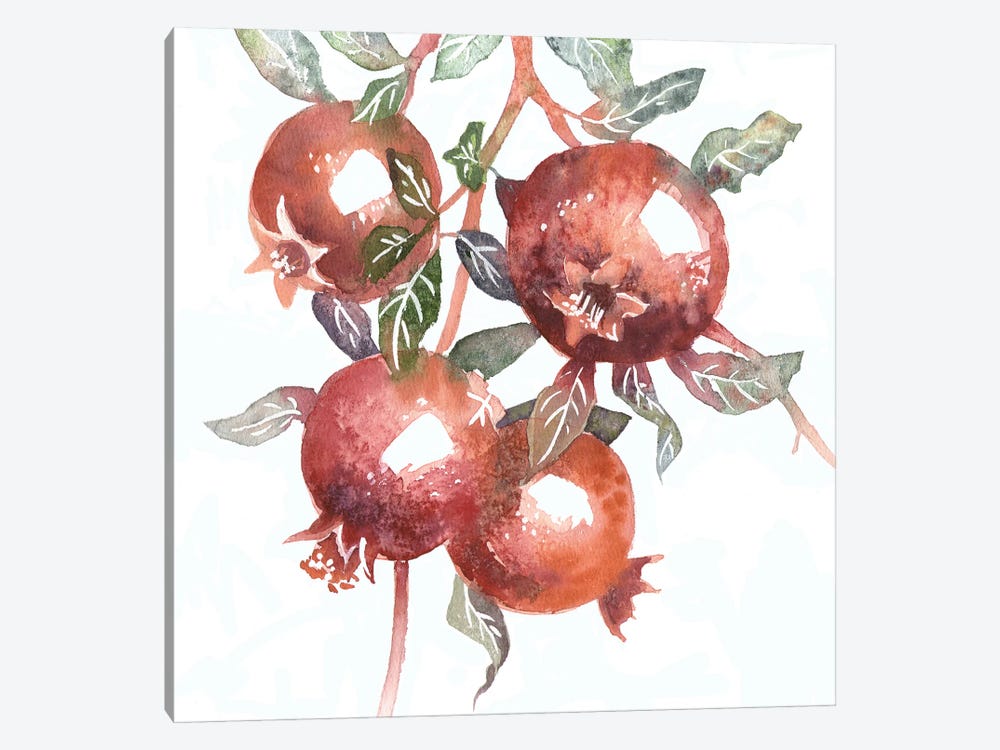 Pomegranates by Ekaterina Prisich 1-piece Canvas Art