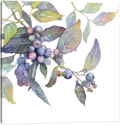 Blueberry Branch Canvas Art Print - Berry Art