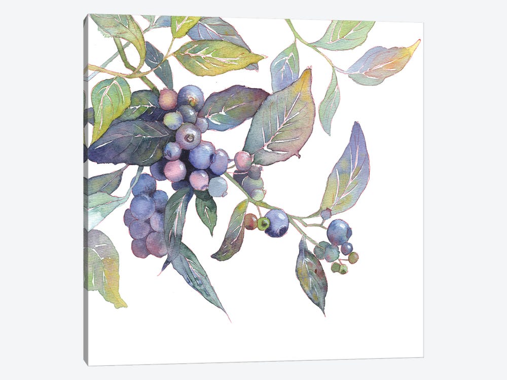 Blueberry Branch by Ekaterina Prisich 1-piece Art Print